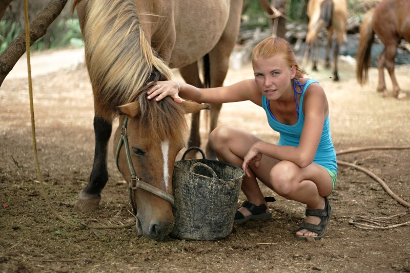 Krmení koní na farmě (foto: Martin Nesiba)