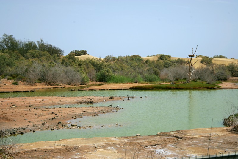 Obrázek Gran Canarie připomínající Africkou krajinu (foto: Martin Nesiba)