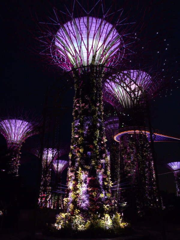 Gardens by the Bay v noci v Singapuru