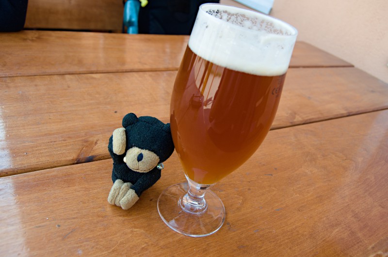 PALE ALE 15° v pivovaru Polívar, i cestovnímu medvídkovi Moodyho se z toho zatočila hlava. 