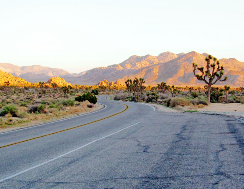 Park leží kousek od města Palm Springs a vede jím několik asfaltových cest, které propojují nezajímavější místa a vyhlídky