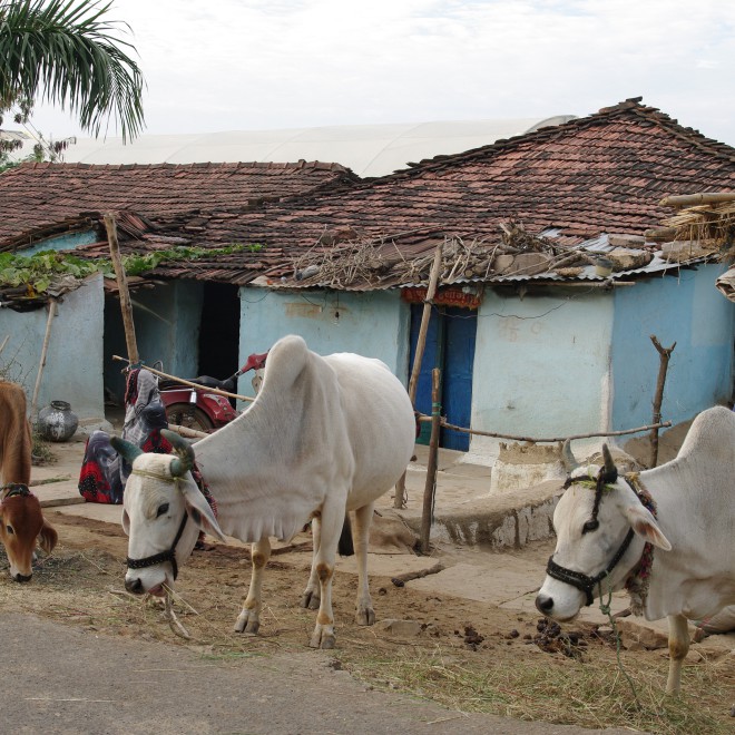 Madhyapradesh, Indie