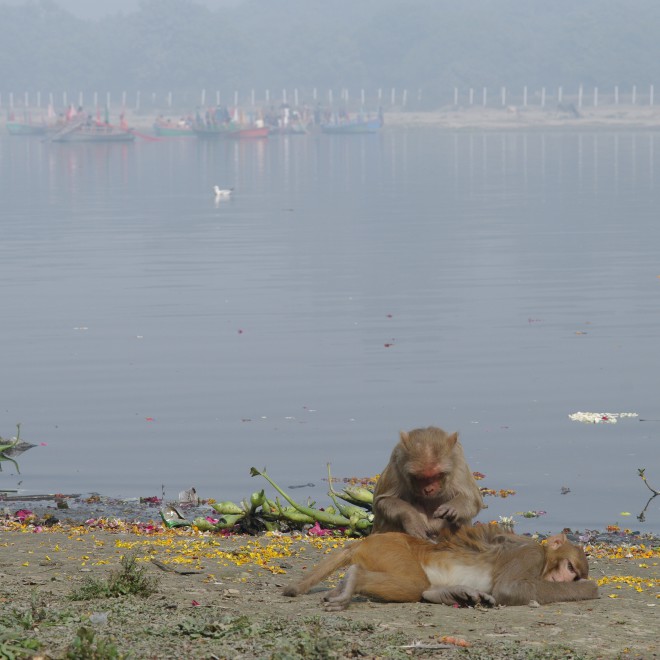 Uttarpradesh, Indie