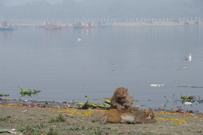 Uttarpradesh, Indie