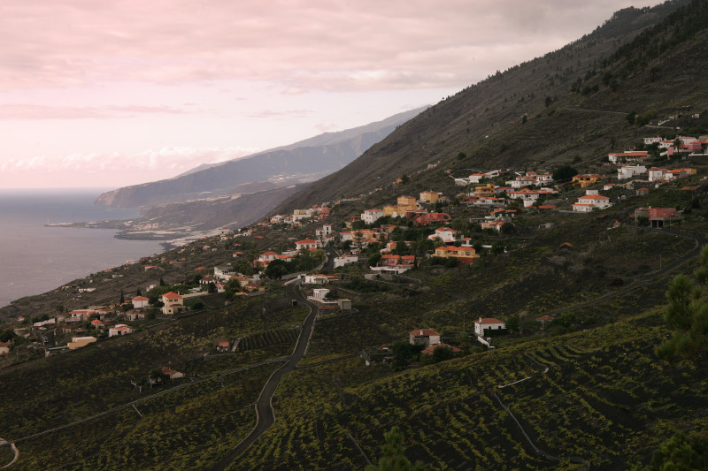 Vinice na ostrově La Palma na Kanárských ostrovech.