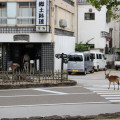 Vysoká na ostrově Itsukushima