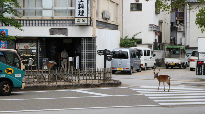 Kouřící sopka na obzoru, divoké laně a jeleni uprostřed města. I takové je Japonsko.