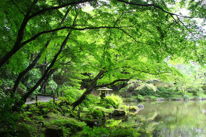 Park Narita