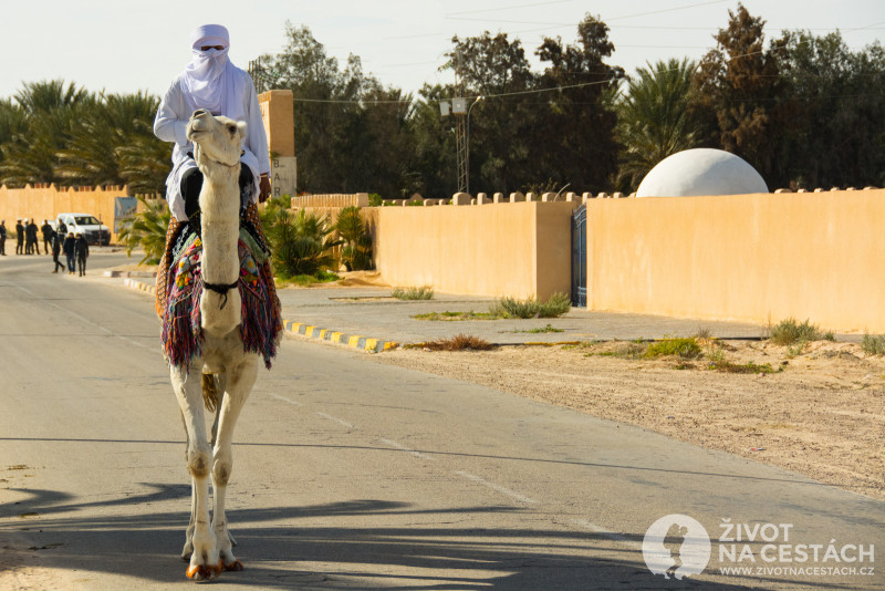 Fotoreport z cesty napříč Tuniskem – Jezdec na nádherném velbloudu tiše a vznešeně prošel kolem nás směrem k hlavnímu dějišti festivalu.