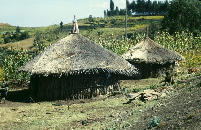 Etiopie, Afrika