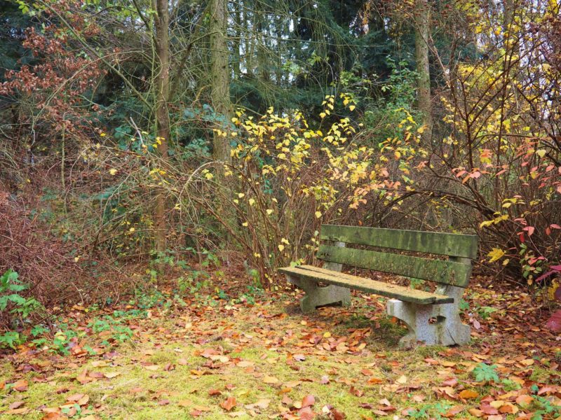 Arboretum je plné romantických míst ;-)