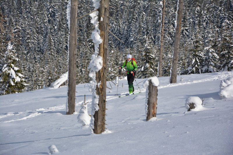 Backcountry túra na Králickém Sněžníku