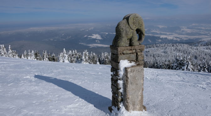 Soška slůněte