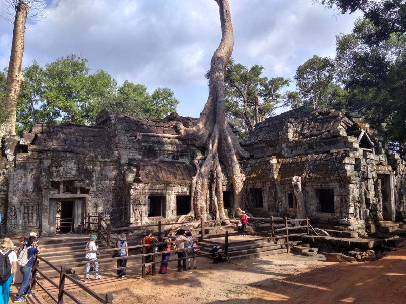 Kapok na Ta Prohm