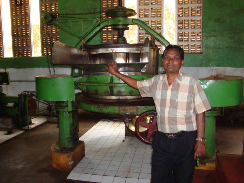Srí Lanka, země čaje: nejlepší čajové plantáže Cejlonu?