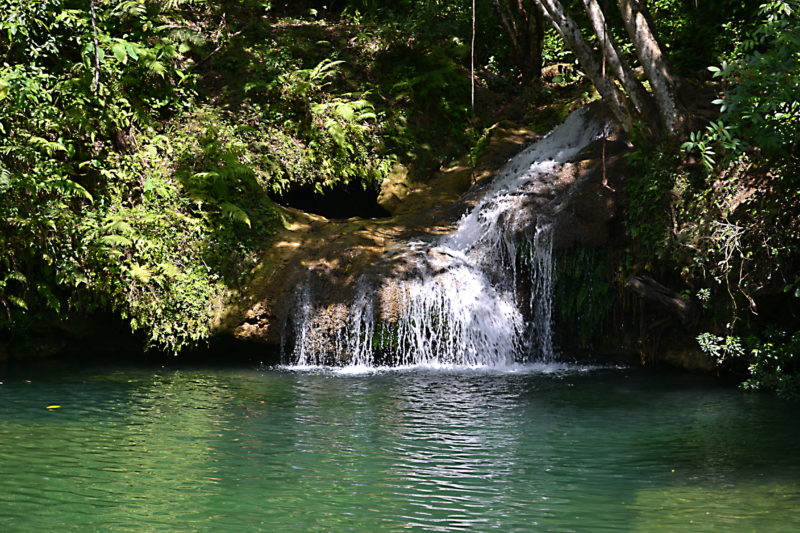 Poceta del Venador