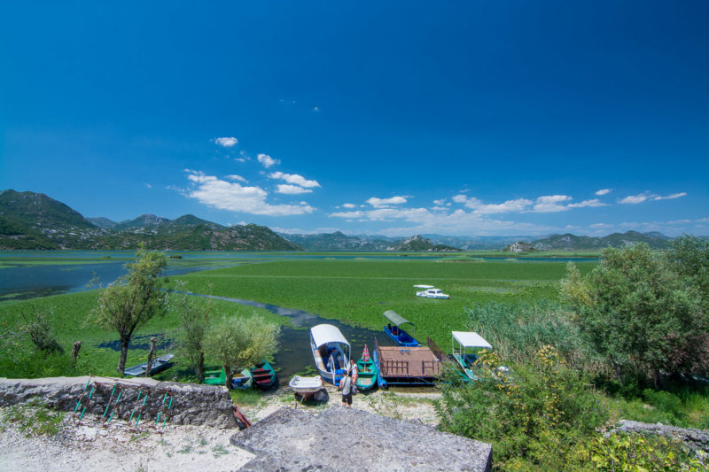 Krásné jezero Skadar. Černá Hora.