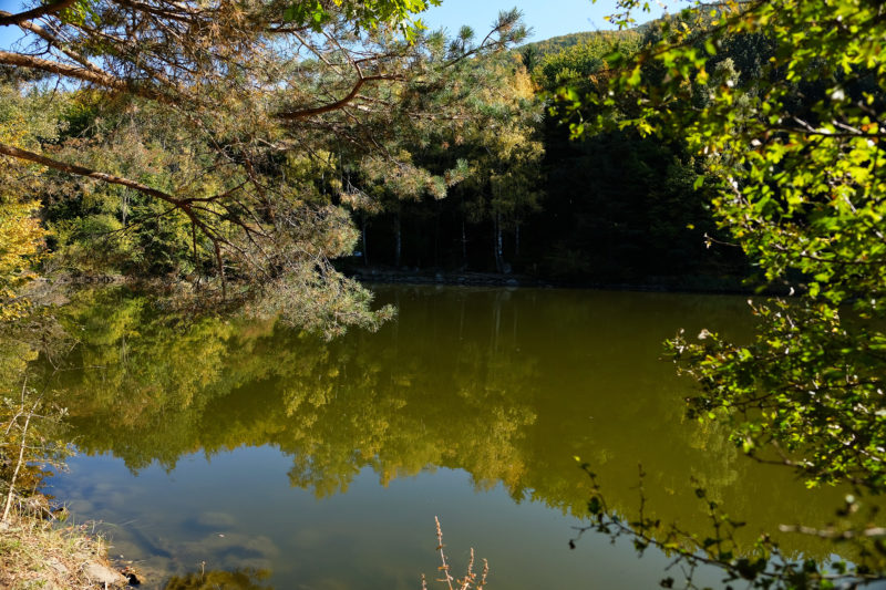 Bojanské jezero, tedy spíše jezírko