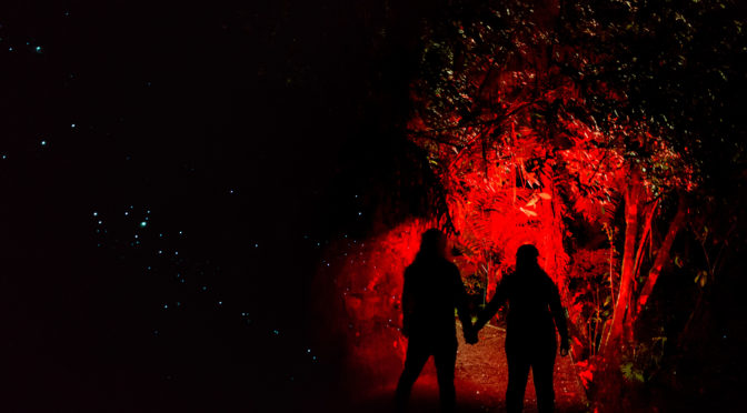 Co jsou glow worms a kde je můžete na Novém Zélandu spatřit?