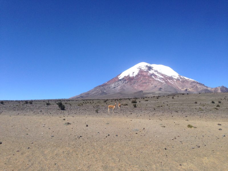 Pohled na sopku CHimborazo ze základního tábora