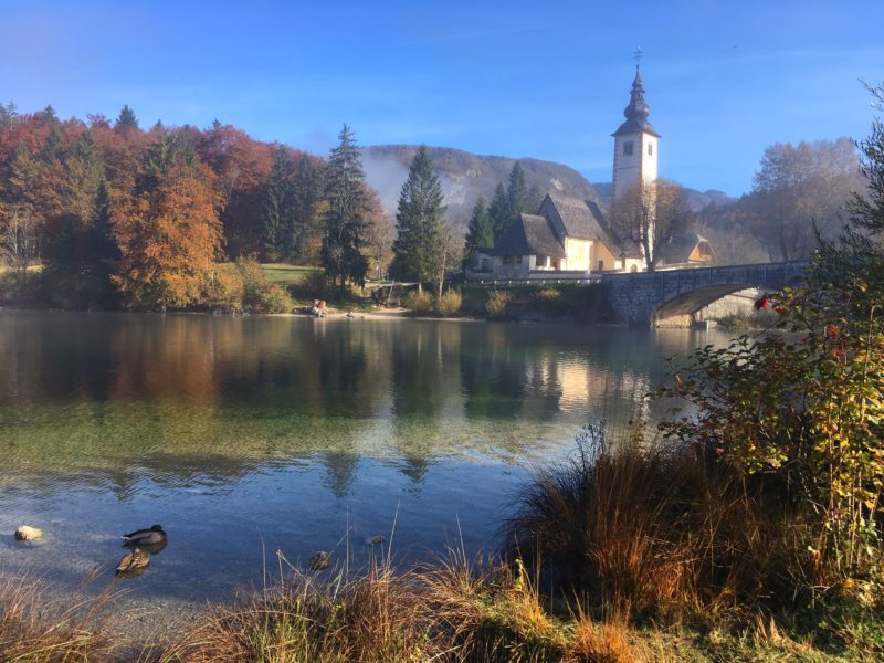 Bohinjske lezero