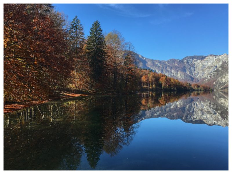 Bohinjske jezero