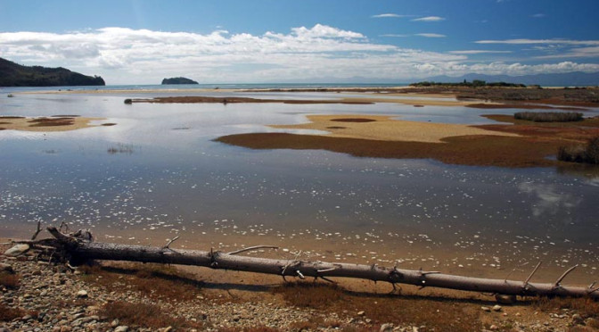 Abel Tasman National Park